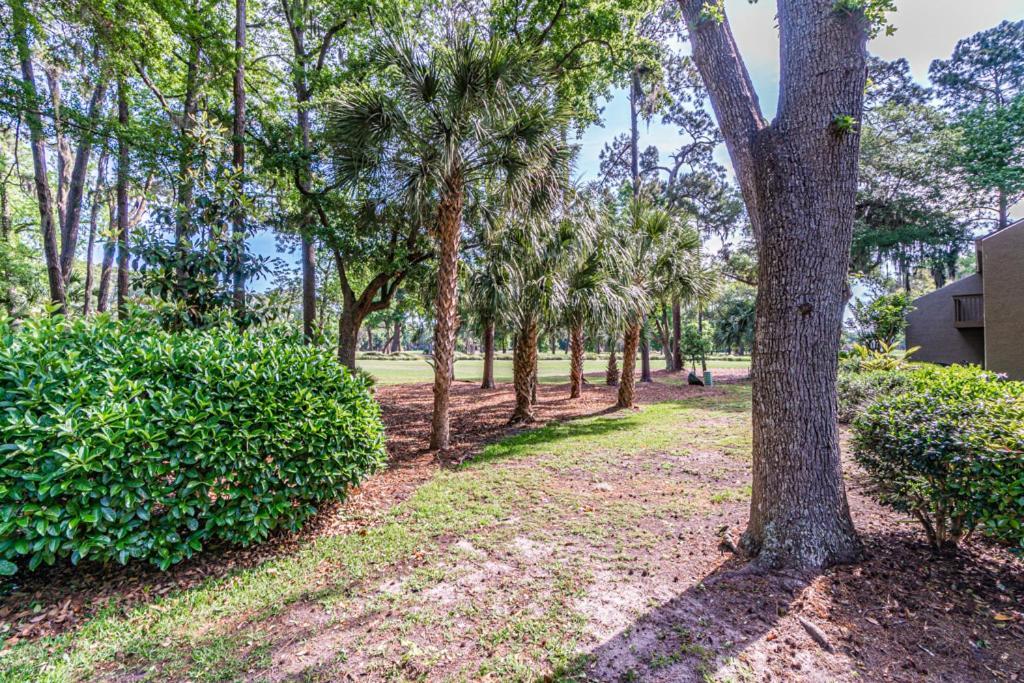 הוילה הילטון הד איילנד Pet Friendly! 503 Plantation Club Walk To Pool Sleeps 6 Sea Pines מראה חיצוני תמונה