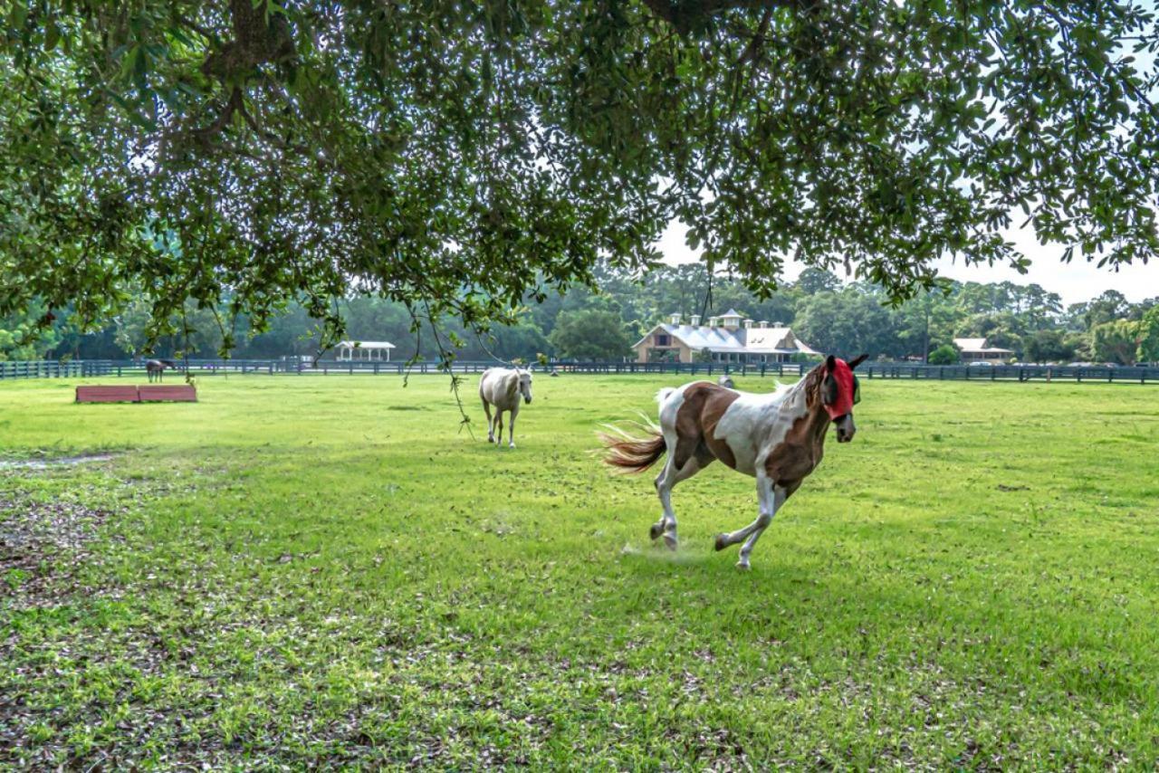 הוילה הילטון הד איילנד Pet Friendly! 503 Plantation Club Walk To Pool Sleeps 6 Sea Pines מראה חיצוני תמונה
